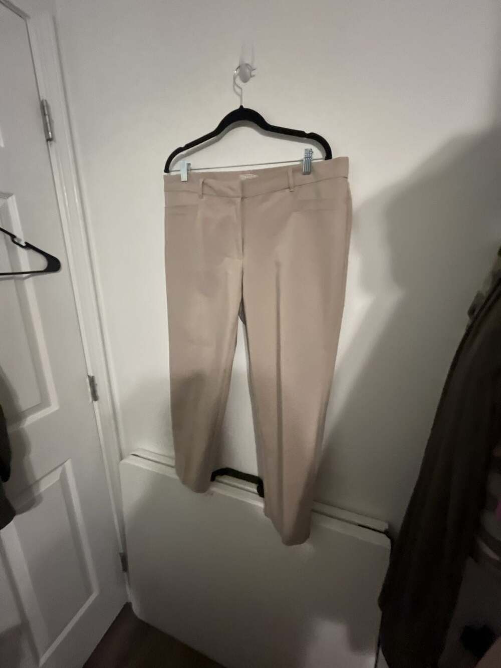 Dana Buchman Women's Beige Tapered Ankle Dress Pants Size 14
